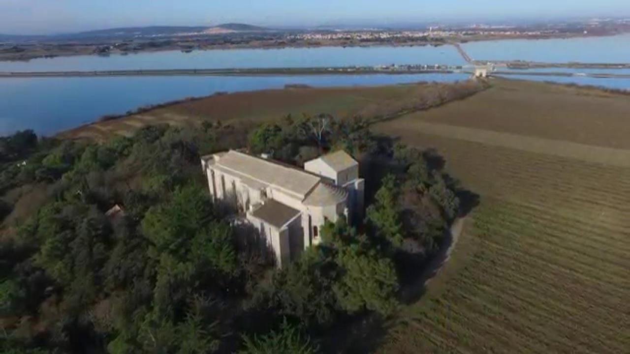 Appartement Rez De Jardin Avec Spa Entre La Mer Et Montpellier 10Mn Lattes Eksteriør billede